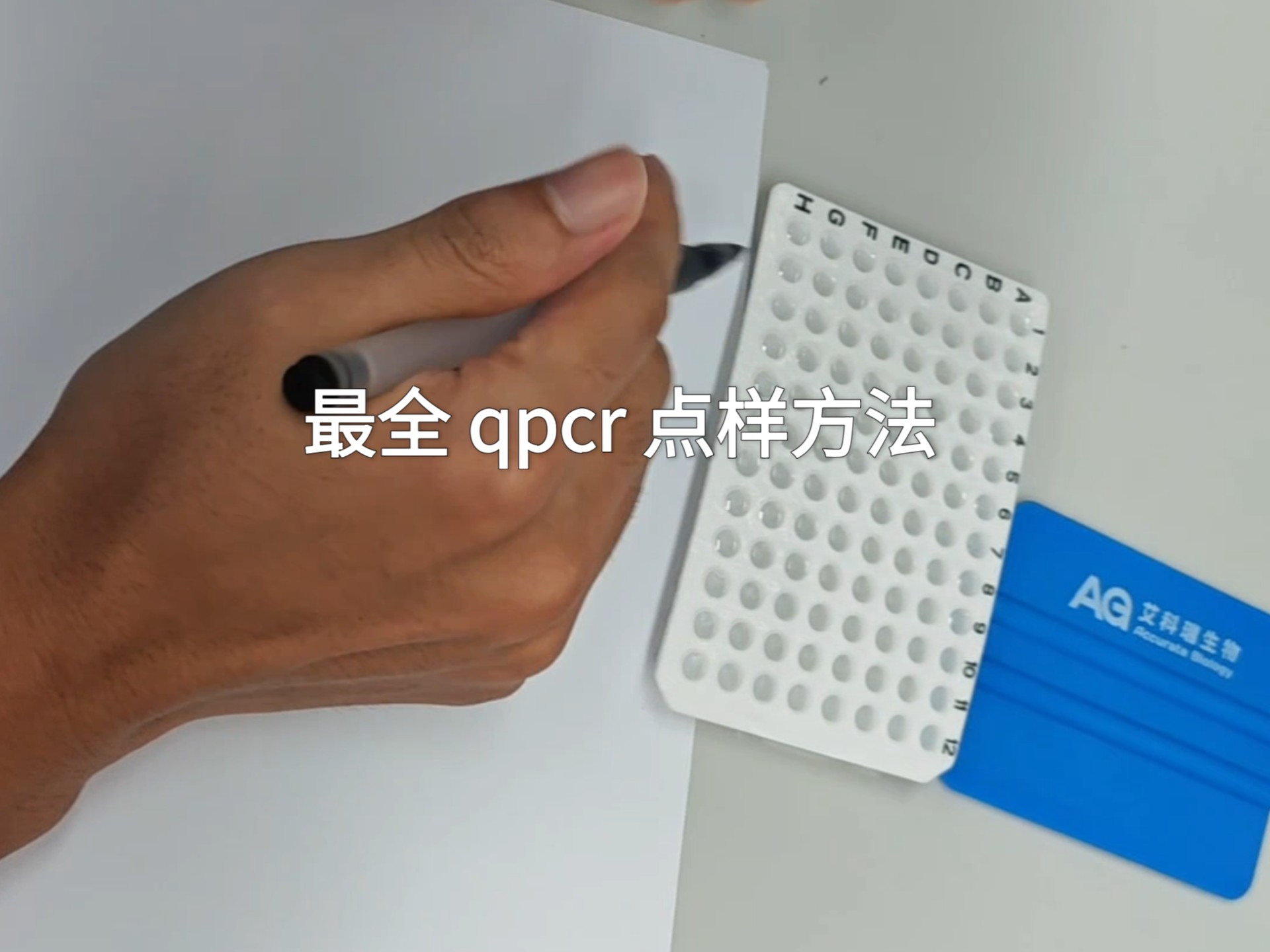 qPCR Sample Loading Technique Demonstration