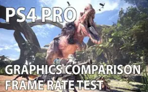 Download Video: 怪物猎人世界PS4 PRO三种模式帧数画面对比