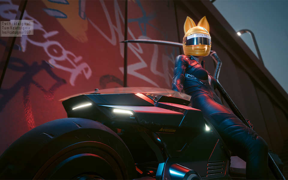 賽爾提2077cyberpunk2077內含貓女連體緊身衣套裝