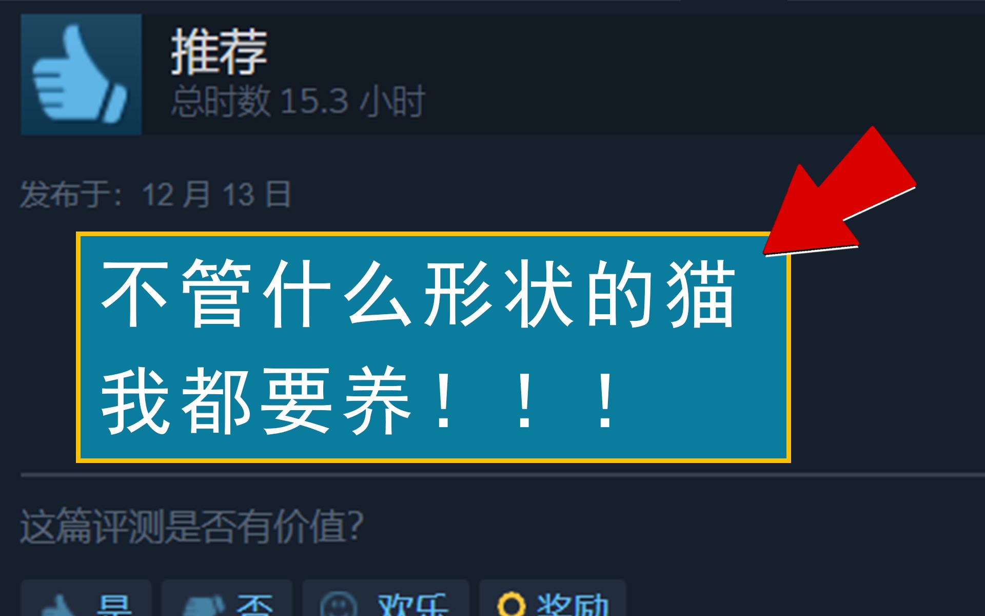 点开前:不就是养猫吗 点开后:这是猫?【鸡腿独立游戏推荐】游戏推荐