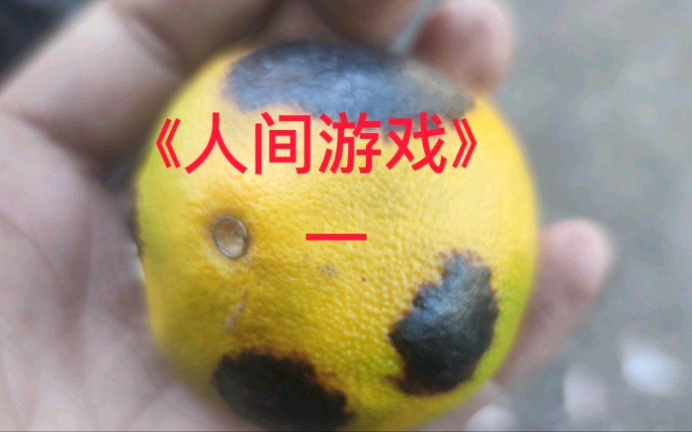 人际关系心理学之一哔哩哔哩bilibili