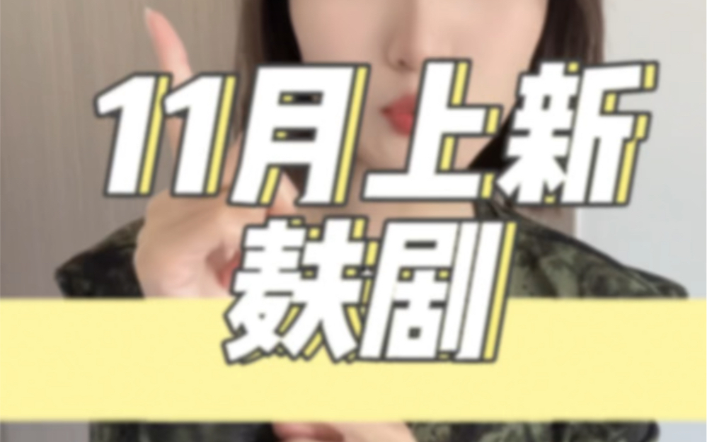 11月上新双男主剧!哔哩哔哩bilibili