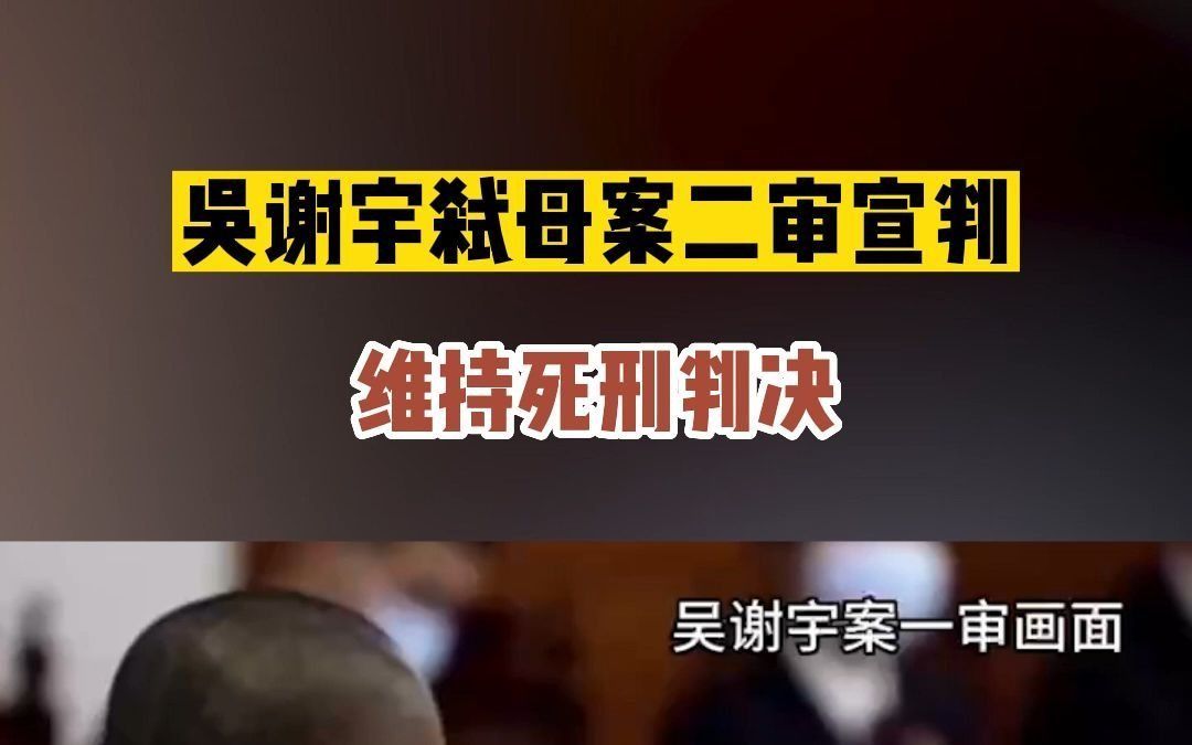 吴谢宇弑母案二审宣判