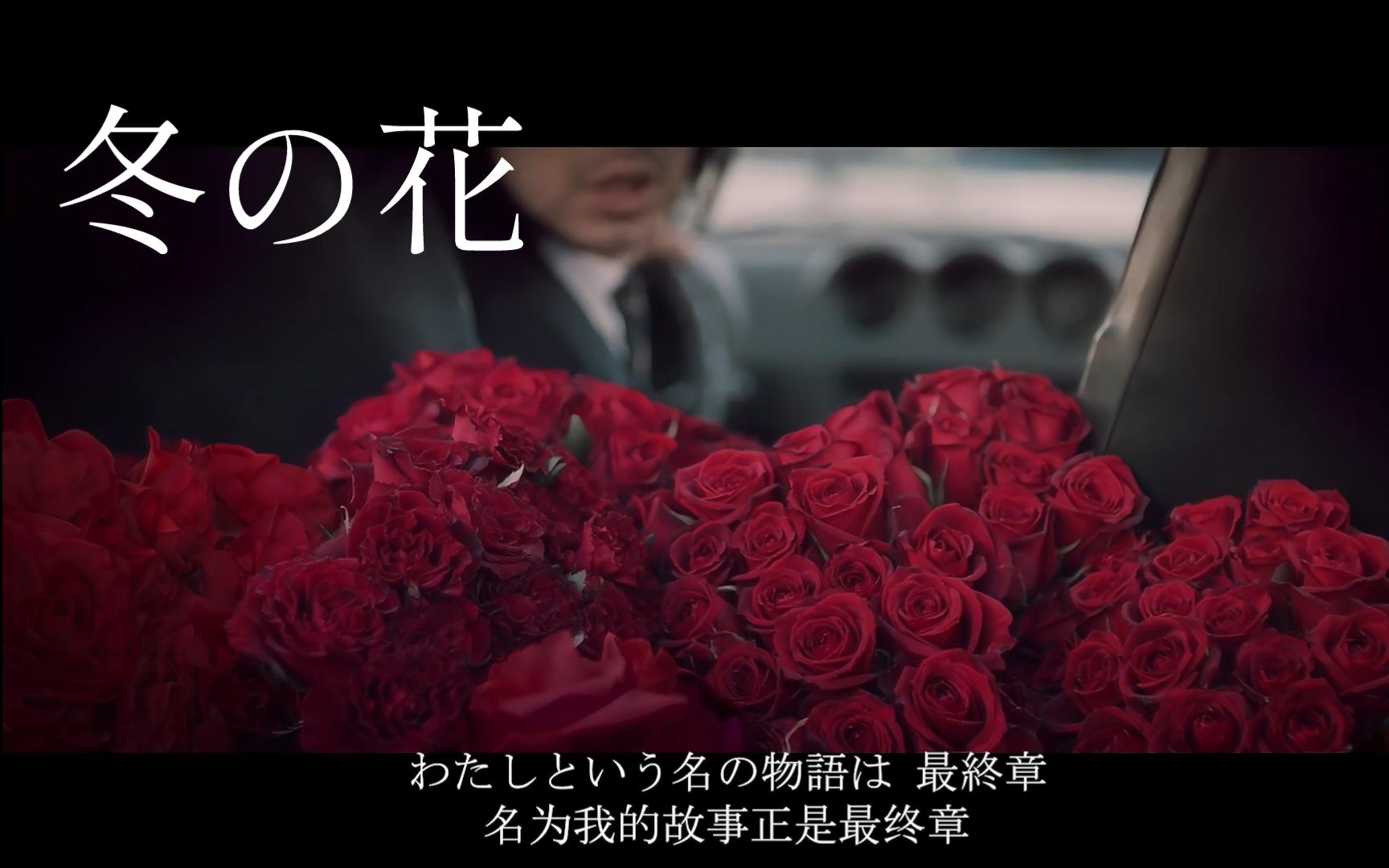 [图]【双语字幕】「冬の花」（冬之花）MV - 宫本浩次