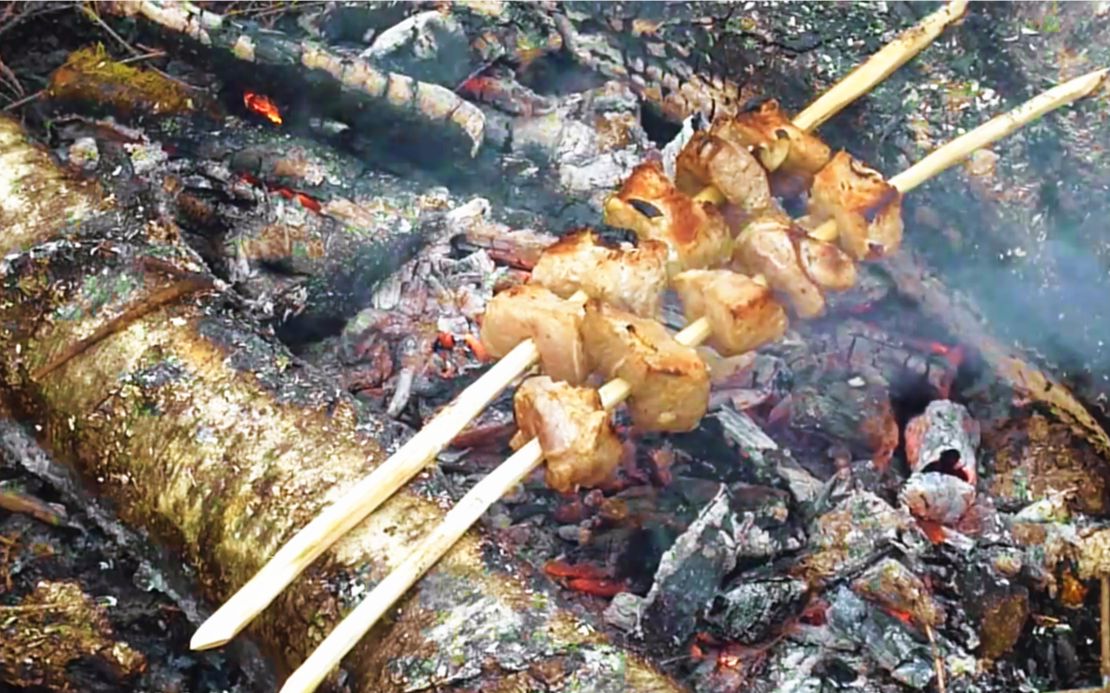【战斗民族】假期树林冰冷雪地野餐【柴火炭烧烤肉串】_哔哩哔哩 (゜