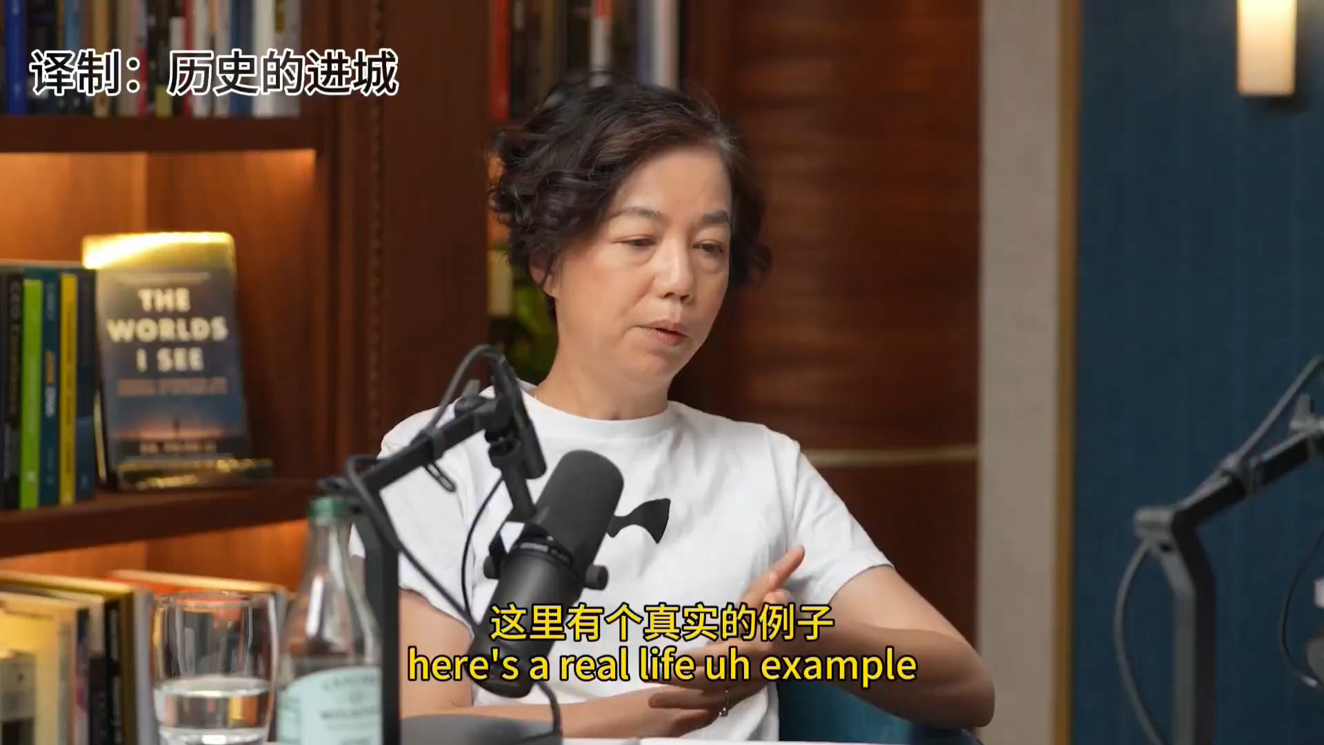 【双语】李飞飞最新访谈：机器人学了十年还是笨？因为我们连「训练场」都没建好