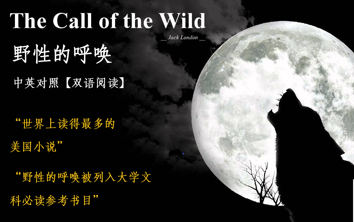 chapter 1 into the primitive