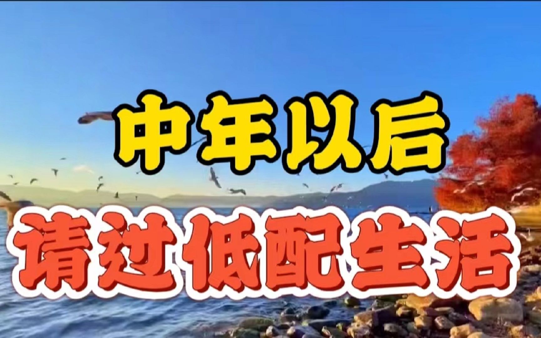 中年以后,请过低配生活!教授的一句话,点醒无数人哔哩哔哩bilibili