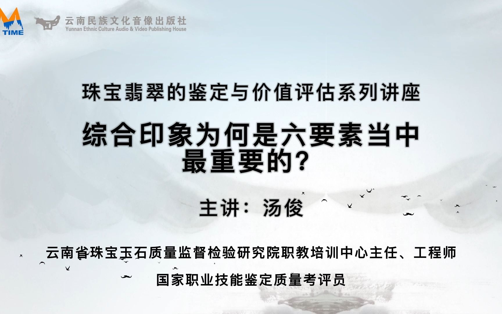 艺文大观之珠宝翡翠鉴定篇—第三十讲:综合印象为何是六要素当中最重要的?哔哩哔哩bilibili