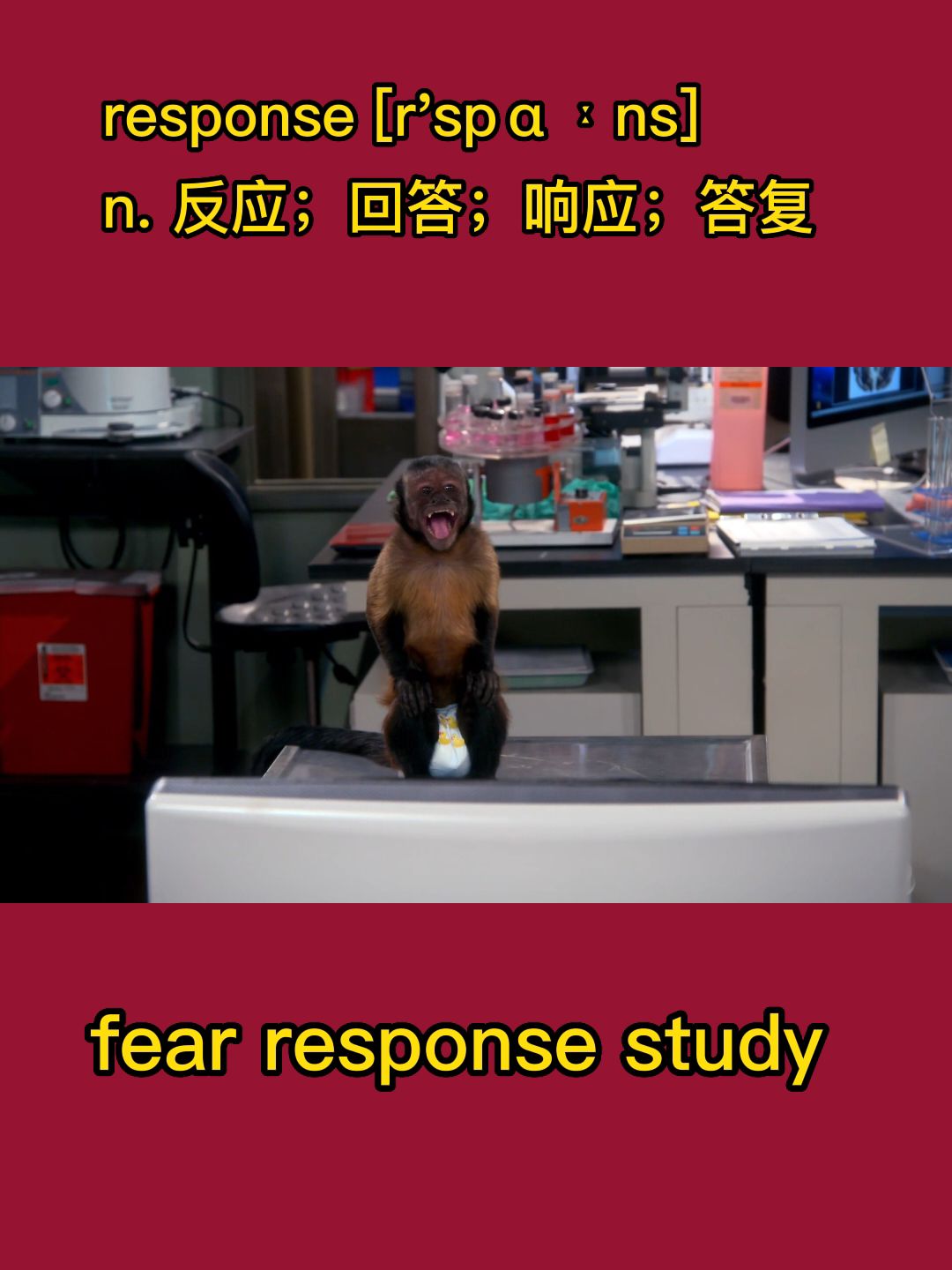 考研英语之上瘾背单词:response哔哩哔哩bilibili