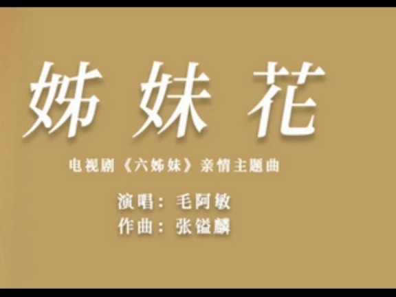 温暖依旧!2025年毛阿敏《姊妹花》春节黄金档电视剧《六姊妹》主题歌