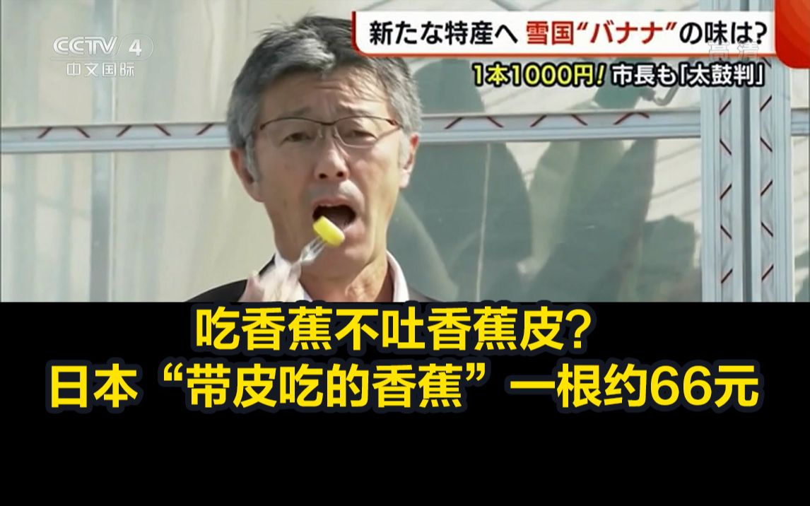 吃香蕉不吐香蕉皮?日本“带皮吃的香蕉”一根约66元哔哩哔哩bilibili
