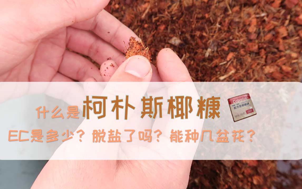 你一般用什么基质种植?试一试这个, 种花种菜种盆栽?一小块就够了, 好用还不贵哔哩哔哩bilibili