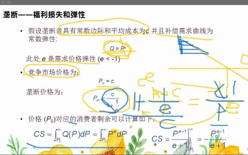 垄断福利损失和弹性哔哩哔哩bilibili