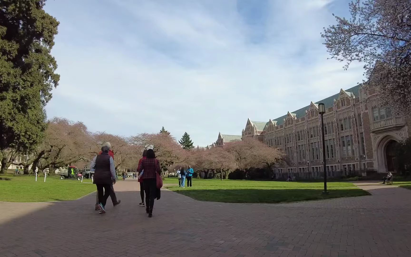 [图]Previewing Cherry Blossoms At The University of Washington UW Quad 2022