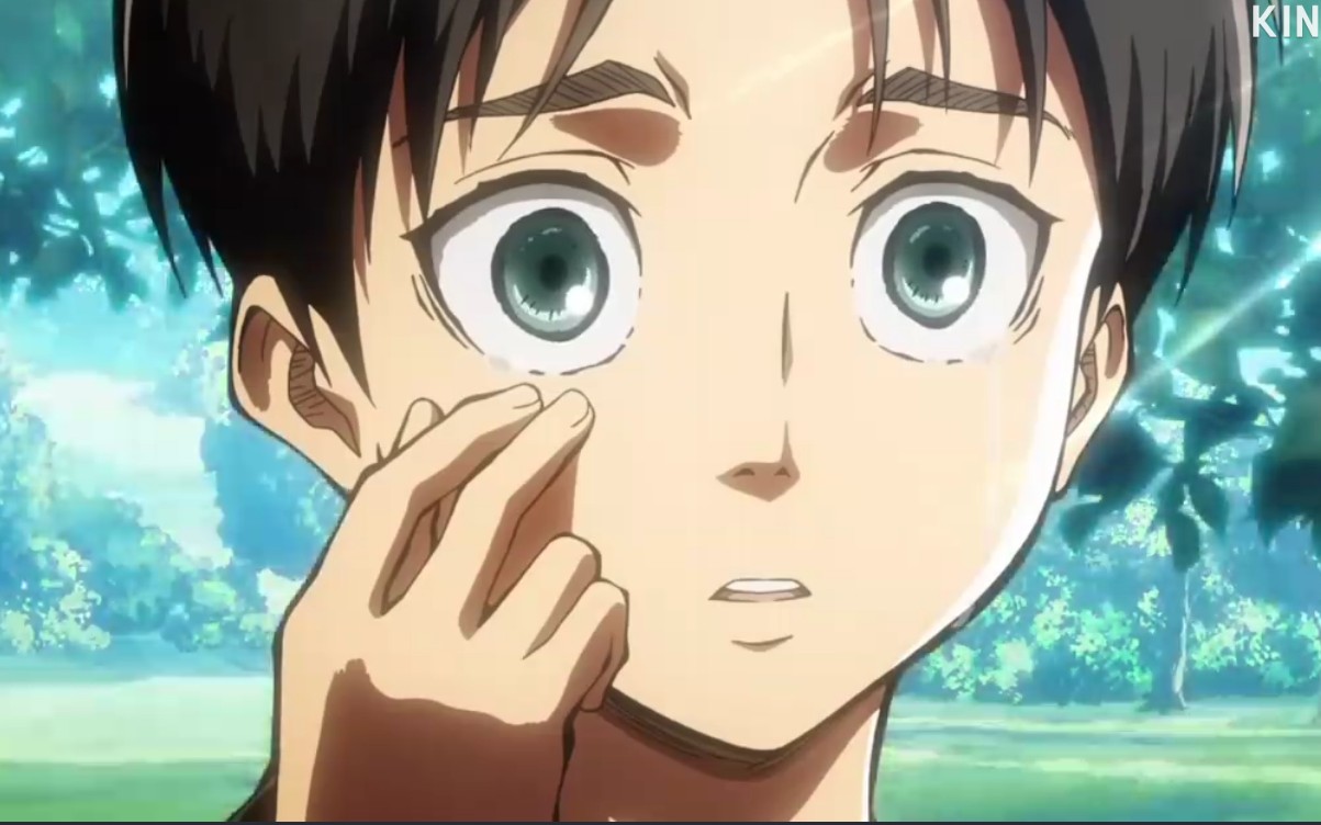 【进巨/艾伦个人向/催泪/燃向】艾伦,一定要活下去啊._哔哩哔哩 (゜-