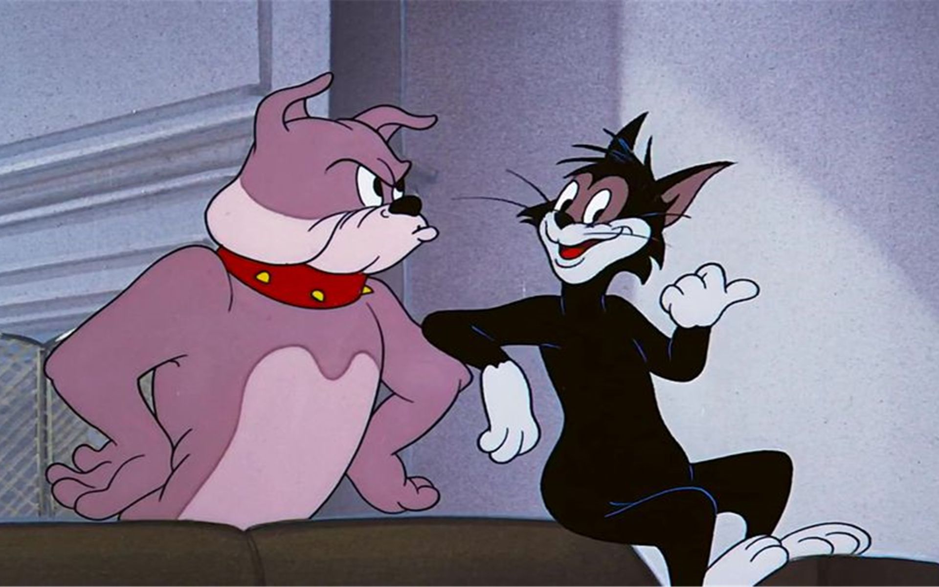 汤姆趁主人没在家,邀请流浪猫三兄弟看电影,结果被斯派克拿捏!