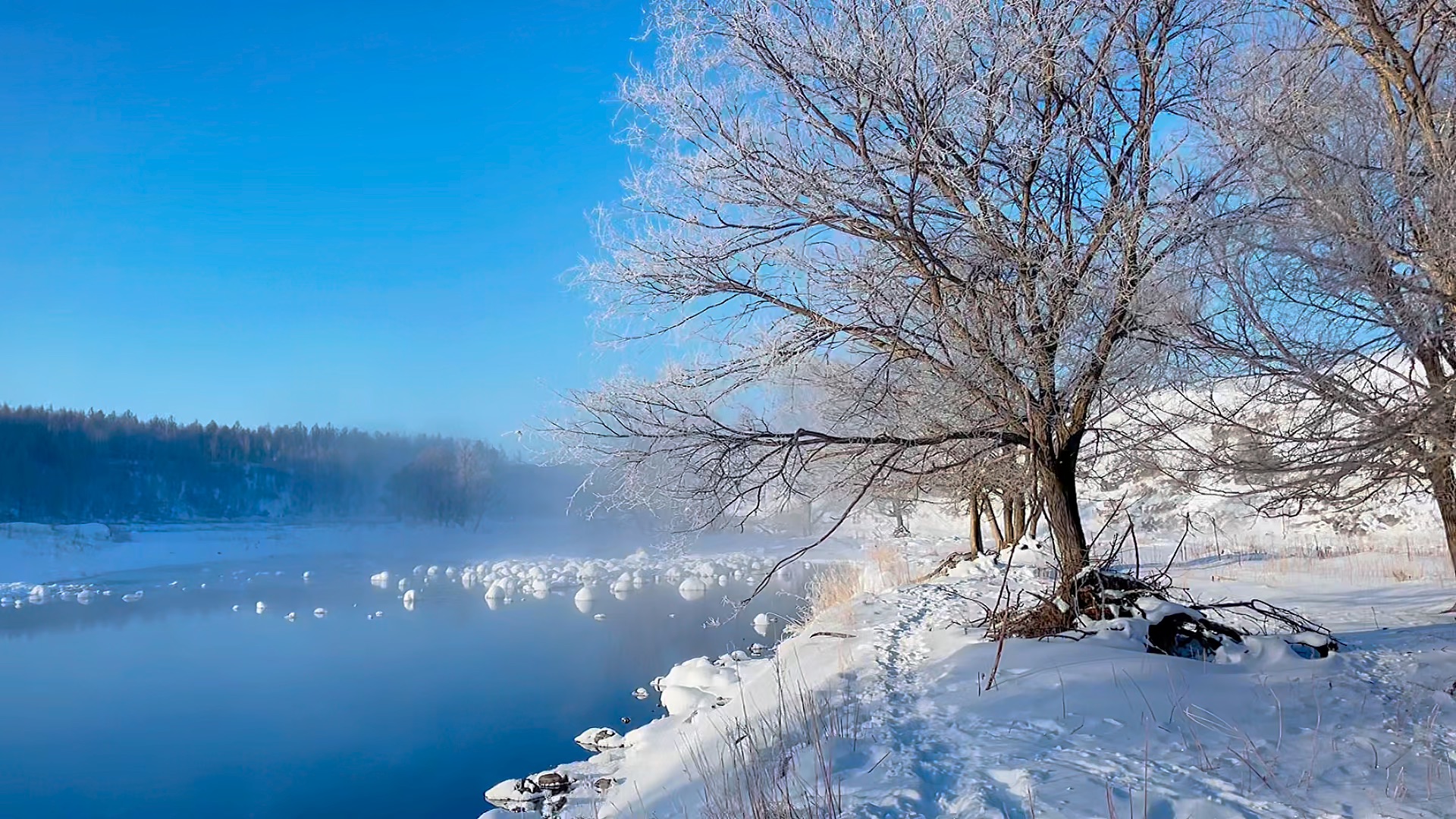 阿尔山国家森林公园不冻河