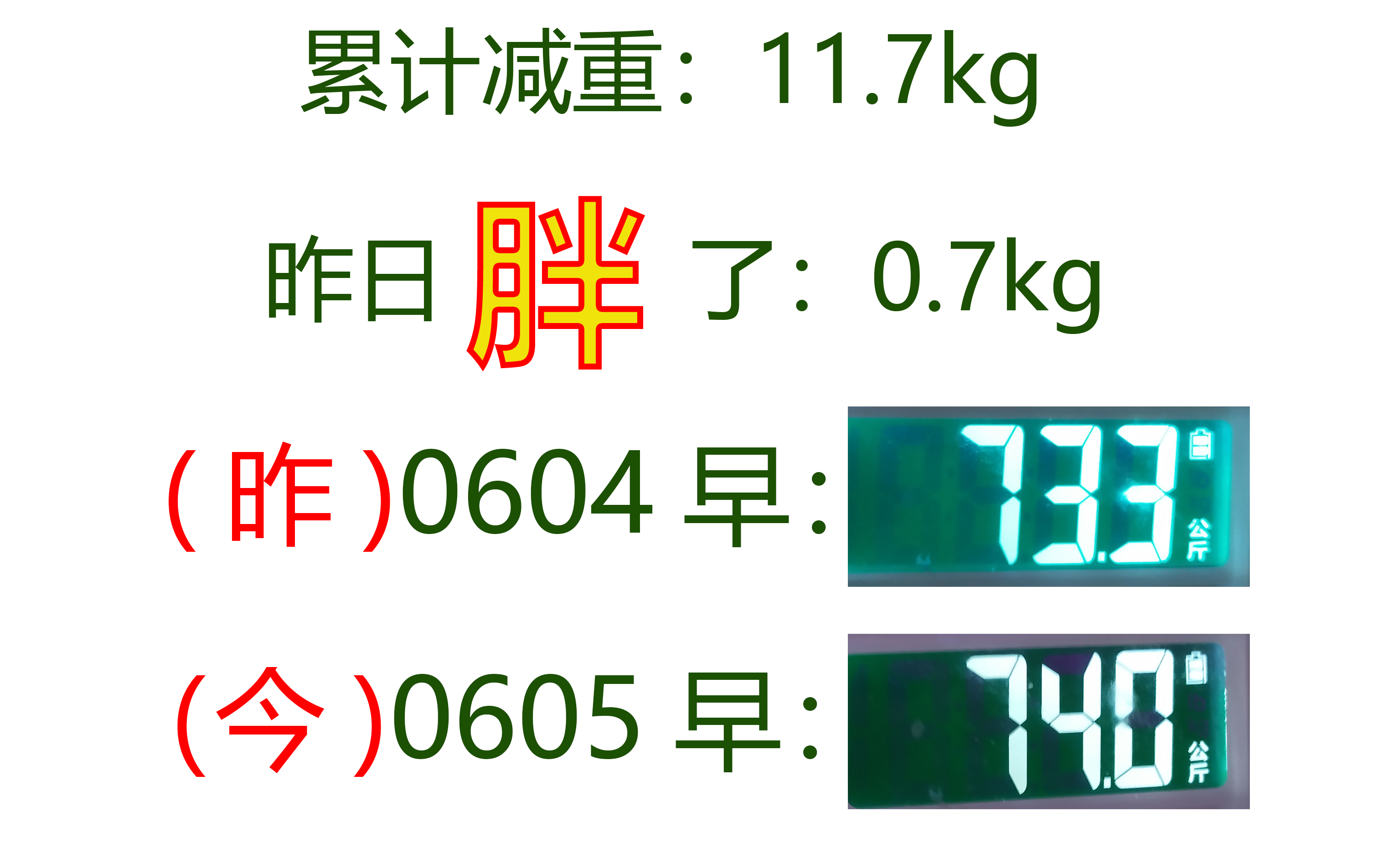 【减肥】咚吃体验 第一天我就胖了将近2斤?哔哩哔哩bilibili