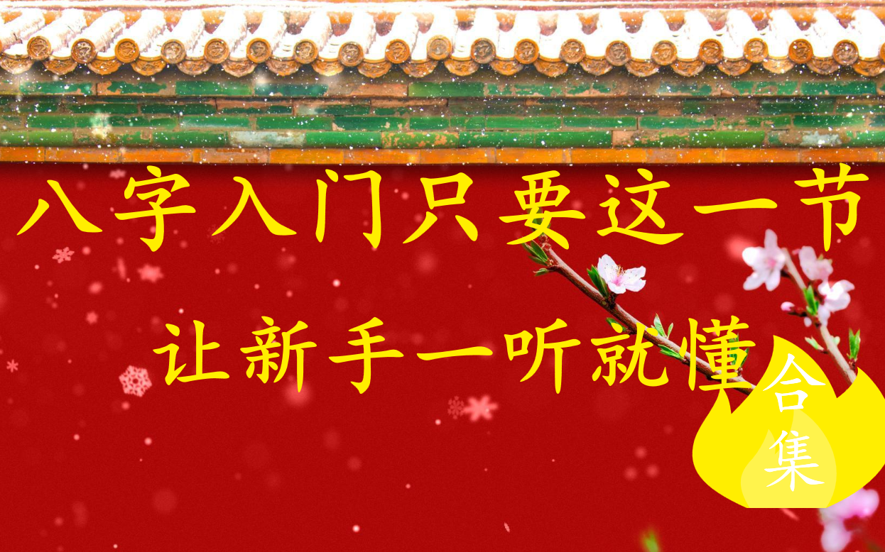 (火种视频)八字入门新手村 震惊!竟然是能听懂的八字命理零基础入门教程,妈妈再也不用担心我学不会啦!哔哩哔哩bilibili