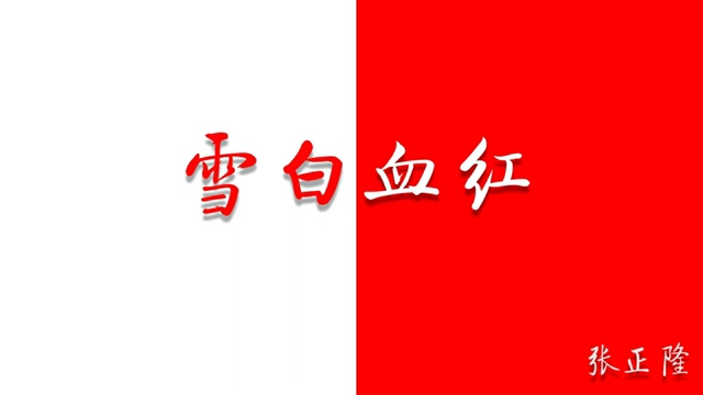 张正隆《雪白血红》05-第五章-土八路与洋八路_哔哩哔哩_bilibili