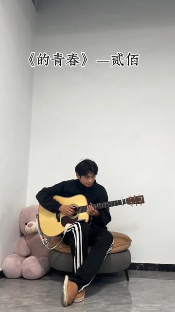 《的青春》—贰佰