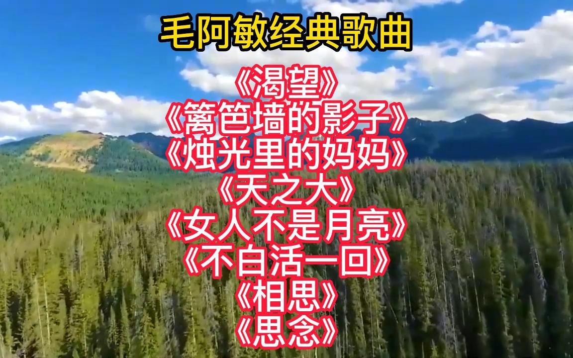 毛阿敏经典歌曲八首,深情大气的唱法,一代人难以忘却的记忆哔哩哔哩bilibili