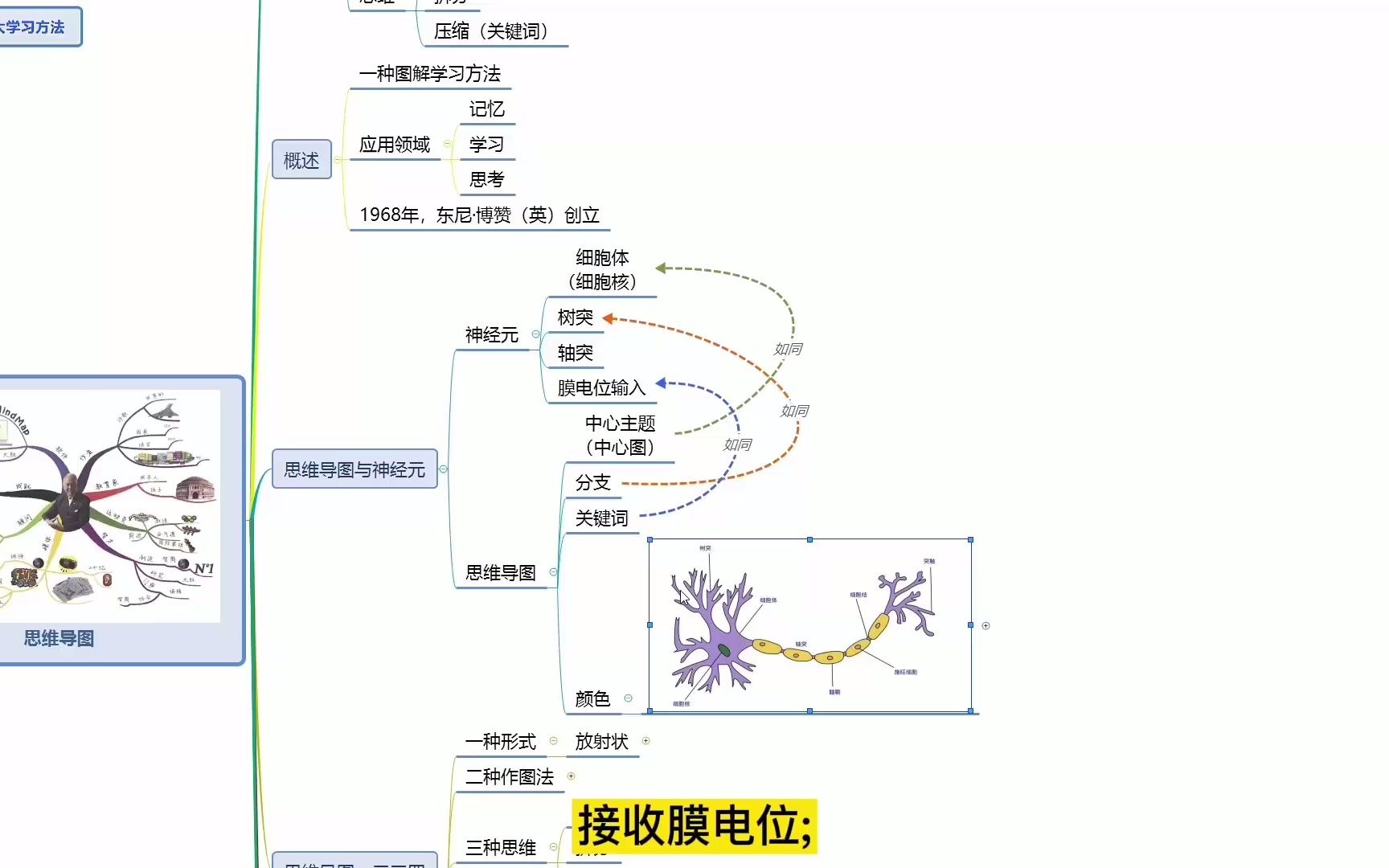 《世界十大学习方法》之思维导图哔哩哔哩bilibili