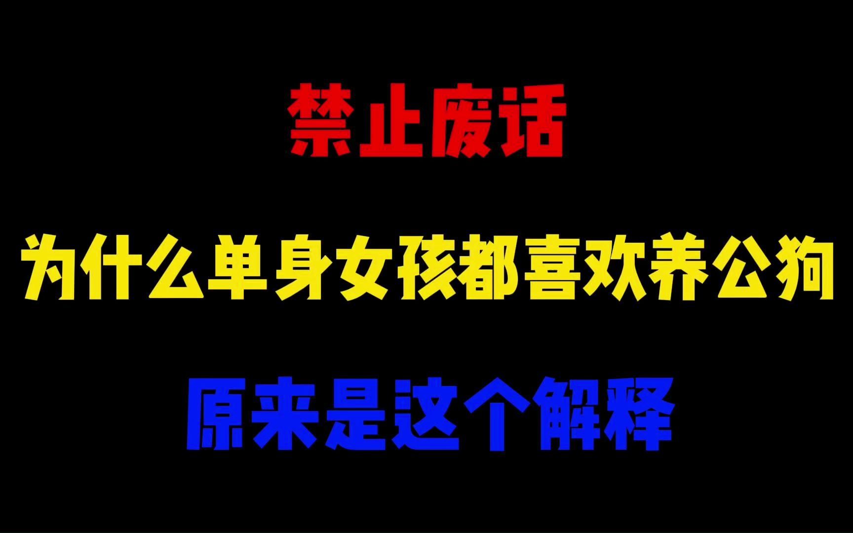 禁止废话:为什么单身女孩都喜欢养公狗?原来是这个解释哔哩哔哩bilibili