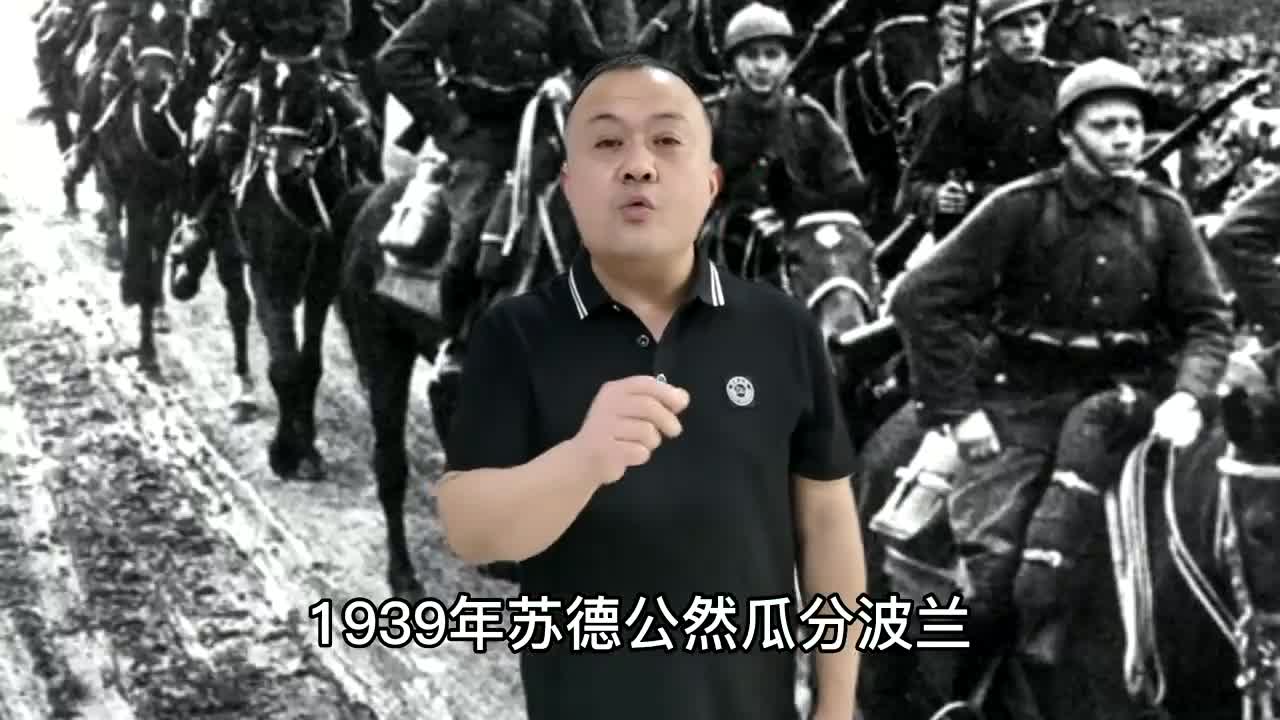 1939年,苏德公然瓜分波兰.仅一个月就亡国,波兰是个软柿子吗?哔哩哔哩bilibili