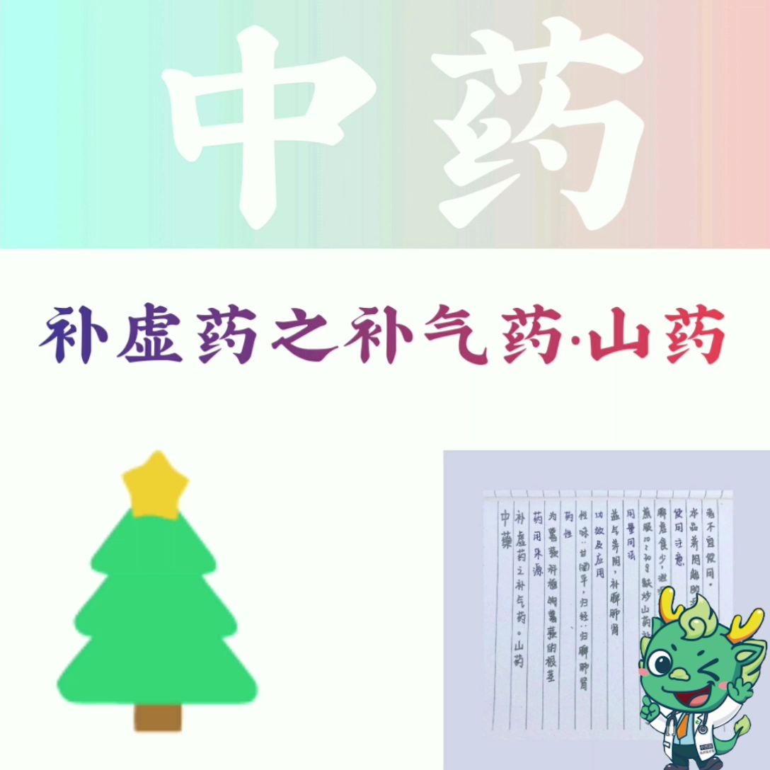 【今日中药】山药哔哩哔哩bilibili