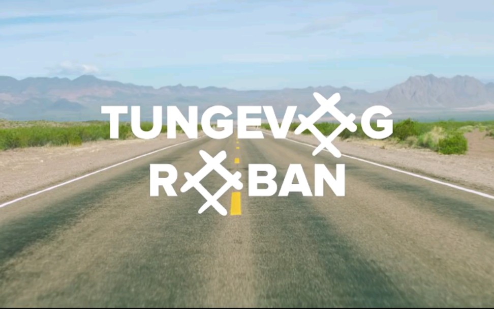 【节奏向】tungevaag, raaban  - bad boy