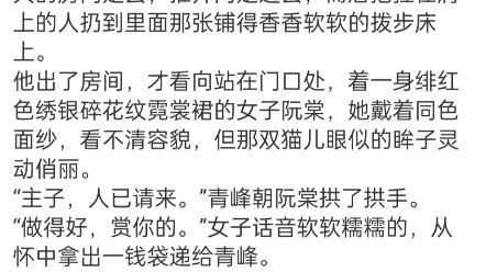 《我被面冷心狠的王爷宠翻天》阮棠楚穆小说阅读全文TXT宁王被劫了.静谧漆黑的夜空中,一黑影掠过,在郊区一处隐蔽的院落中落下.哔哩哔哩bilibili