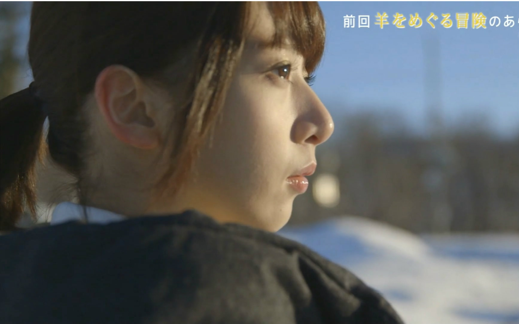 【kapibara字幕组】160303 乃木坂46 桥本奈奈未的恋爱文学 ep03