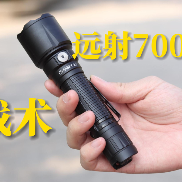 Blauer Tactical Duty Pen Light LT100 海外 即決-