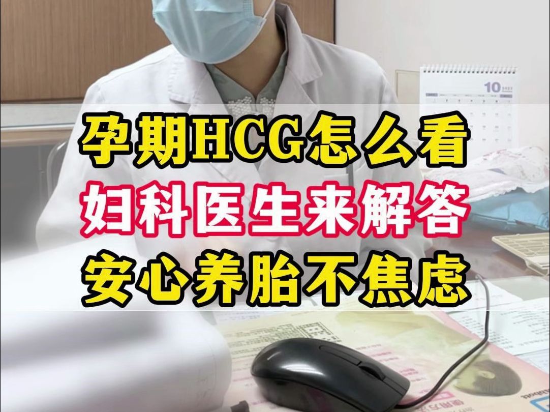 孕期HCG报告怎么看,这个视频给你详细说!哔哩哔哩bilibili