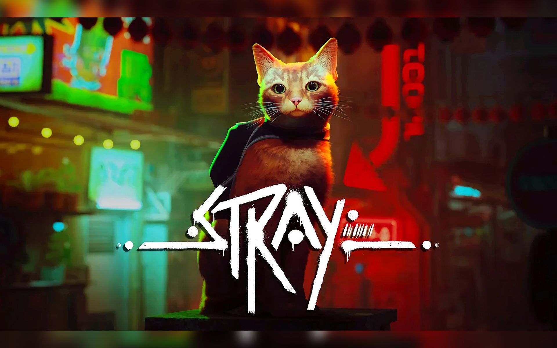 【老e录播】7.19晚上 前半场 全世界首款3a级猫咪冒险游戏stray