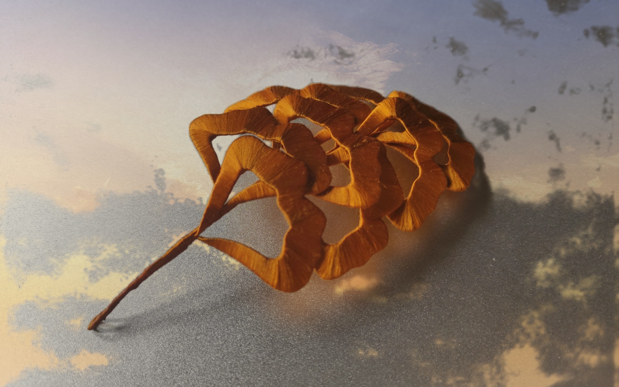 【缠花】银杏叶.