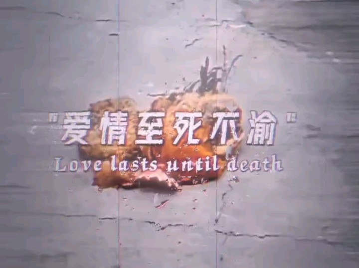 love lasts until death("爱情至死不渝") #感人 #爱情 #动物