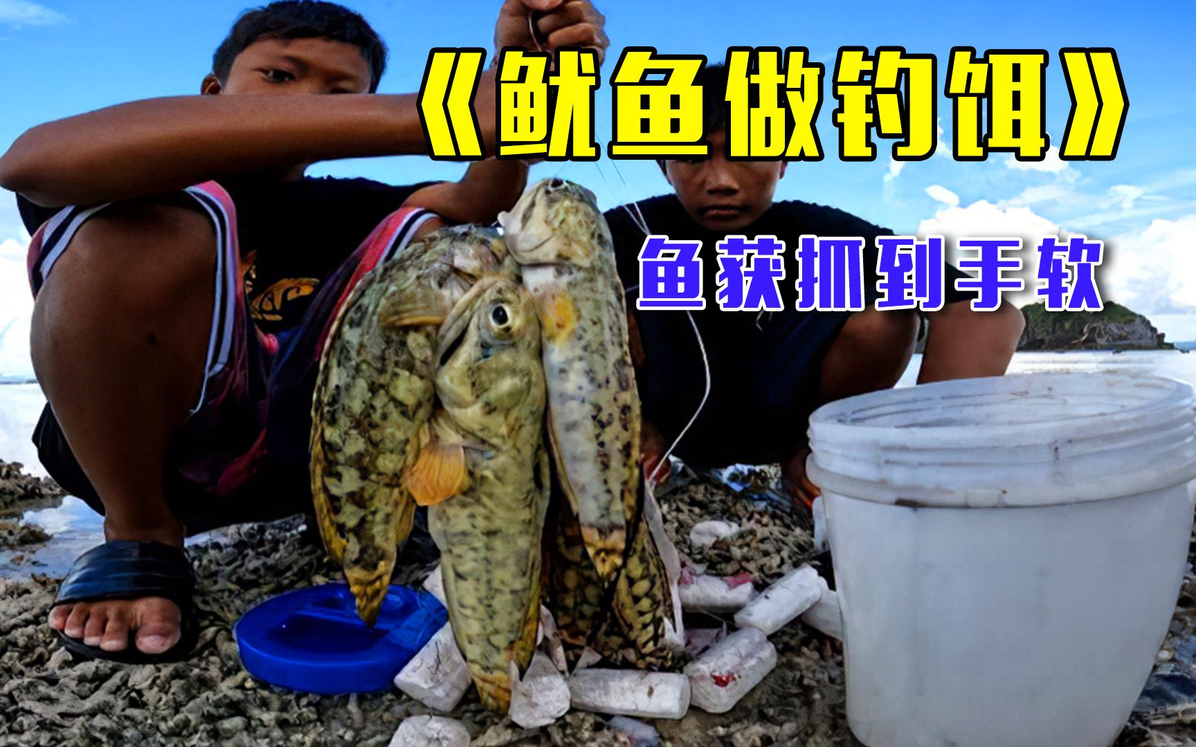 8岁小孩海边赶海,用鱿鱼做诱饵,捕获大量鱼获