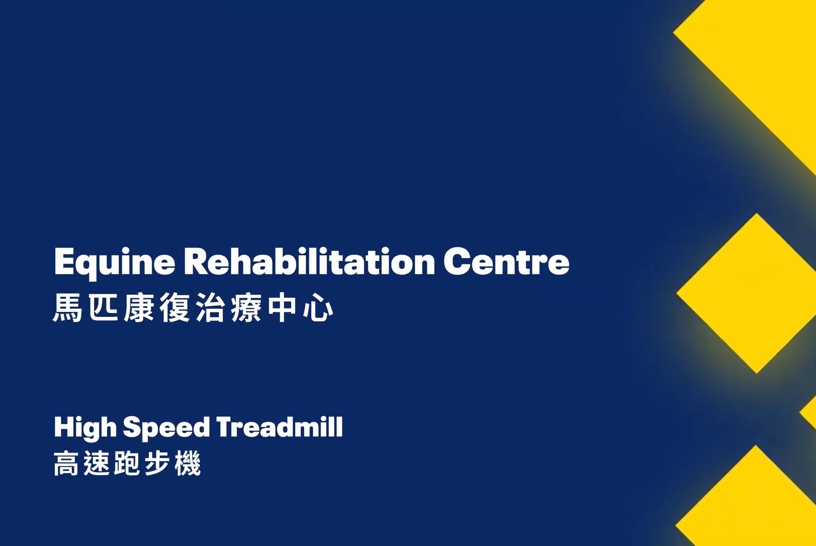 【从化马匹康复治疗中心 Equine Rehabilitation Centre】高速跑步机 / High Speed Treadmill哔哩哔哩bilibili