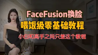 FaceFusion最新版本换脸教程第一期，从小白到换脸高手之间的蜕变，各种参数详细讲解
