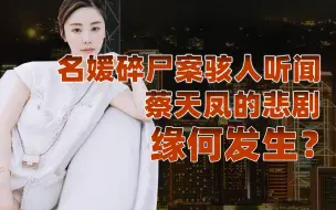 Download Video: 【卢克文工作室】深度剖析蔡天凤案，反思废死制，如何让恶徒真正受罚？