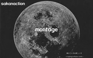 Download Video: 【每日一歌】montage sakanaction 懐かしい月は新しい月 remix