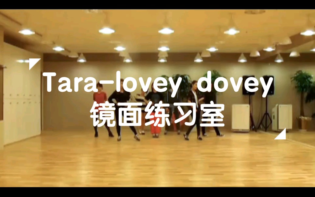 [图]【Tara】lovey dovey(镜面练习室)