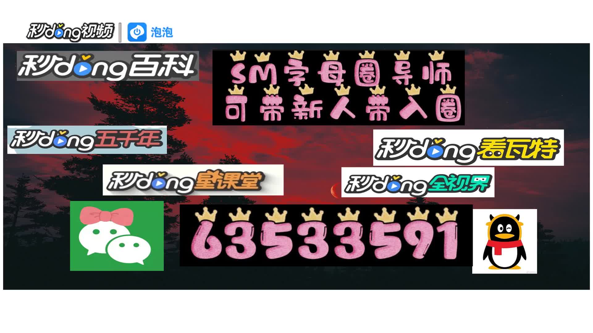 7.3分钟了解k9是什么意思字母圈