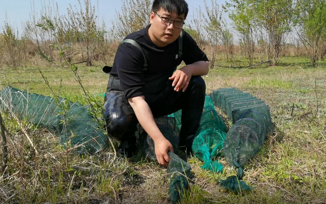 農村小夥收地籠,20米長的地籠,收穫成百上千條小魚,太爽了