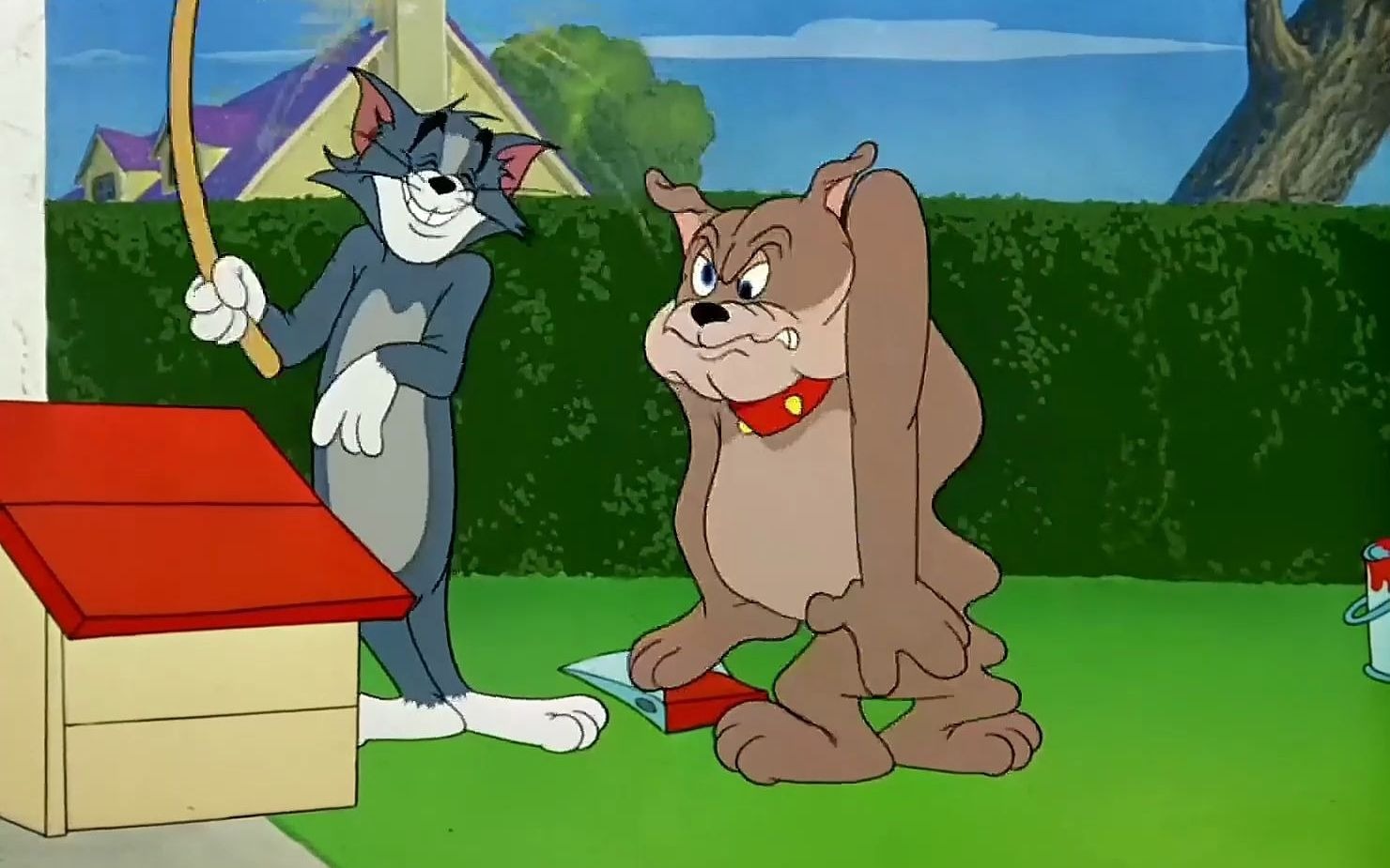 "每日一遍,防止emo""今日汤姆大战斯派克"#猫和老鼠