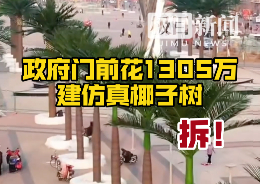 清徐县政府门前花1305万建仿真椰子树等,中央点名通报后当地连夜拆除哔哩哔哩bilibili