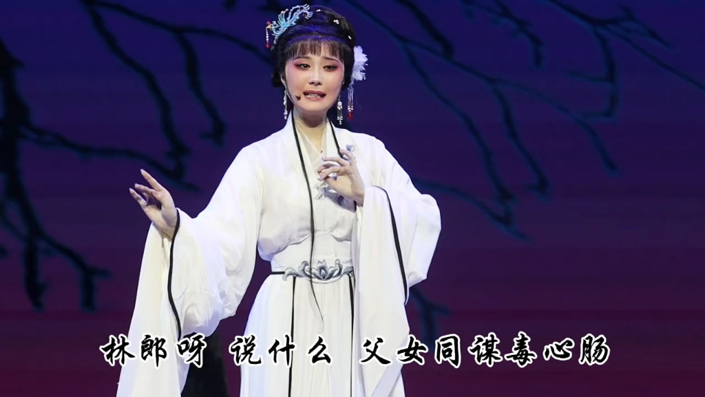 南京市越剧团: 王柯边版的吴语越韵《血手印》